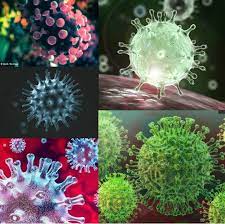 Google has many special features to help you find exactly what you're looking for. Coronavirus Bilder Wie Sieht Das Virus Wirklich Aus Page Online