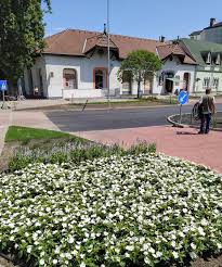 The settlement is part of the balatonboglár wine region. Nachgedacht Neues Marcali