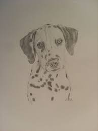 Bleistiftzeichnung Dalmatiner Hund Malen Zeichnungen Malen Und Zeichnen