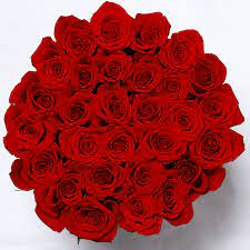 Bianco invia mazzo 3 rose per una fantastica sorpresa. Classic Collection Medium Rose Rosse Scatola Nera One Million Roses