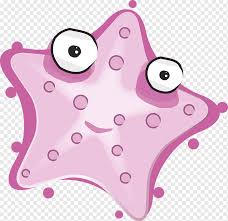 We did not find results for: Paper Starfish Pixabay Illustration Orange Starfish Decoration Animals Orange Decorative Png Pngwing