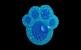 ❤ get the best blue backgrounds on wallpaperset. Blue S Clues Wallpapers Top Free Blue S Clues Backgrounds Wallpaperaccess