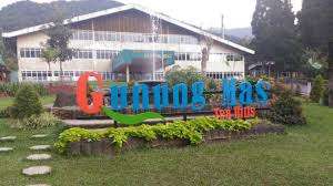Kebun teh puncak agrowista gunung mas menwarkan tempat wisata sejuk dengan berbagai aktivitas seru menghabiskan akhir pekan. Harga Tiket Masuk Agrowisata Gunung Mas Bogor Terbaru Trip Jalan Jalan