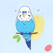 Parakeet Bird Drawings Cute Animal Drawings Kawaii Cute Animal Drawings