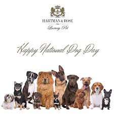 Happy National Dog Day On August 26 2019 Just A Few Adoption Rescue Sites To View Mypetneedsthat Com Best Pet Adopt National Dog Day Celebrates All Breeds