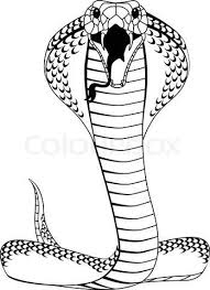 Stock Vector Of Cobra Stock Vector Of Cobra Cobra Snaketattoo Stock Vector Watercolortattoo Kobra Tattoo Schlange Tattoo Schlange Kunst