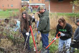 Leading The Scene To Keep It Green
