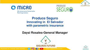 Rebuilding after a hurricane can be difficult enough without the added financial hardships that can come with flood damage. Produce Seguro Innovating In El Salvador With Parametric Insurance Ppt Download