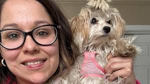 Amazon.com : YIMEIS Dog Harness and Leash Set, No Pull Soft Mesh Pet  Harness, Reflective Adjustable Puppy Vest for Small Medium Large Dogs, Cats  (Greyblue, Small (Pack of 1)) : Pet Supplies