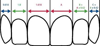 Doctors medical centres and clinics dental clinics. An Analysis Of The Aesthetic Proportions Of Anterior Maxillary Teeth In A Uk Population British Dental Journal