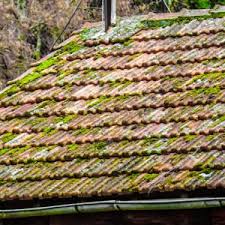 Professional roof cleaning and moss removal service across the south east of england. How Do I Stop Moss Growing On Roof Shingles And Tiles Roofing Superstore Help Advice