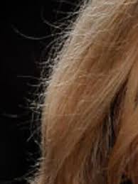 Was passiert bei frizz mit den haaren? Kaputte Haare Durch Mandelol Besser Kaputt Spitze Frizz