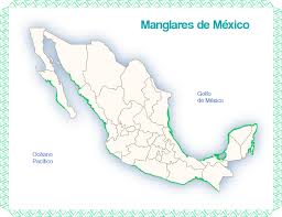 Mexico is not more educted then australia. Los Manglares Mexicanos Secretaria De Medio Ambiente Y Recursos Naturales Gobierno Gob Mx