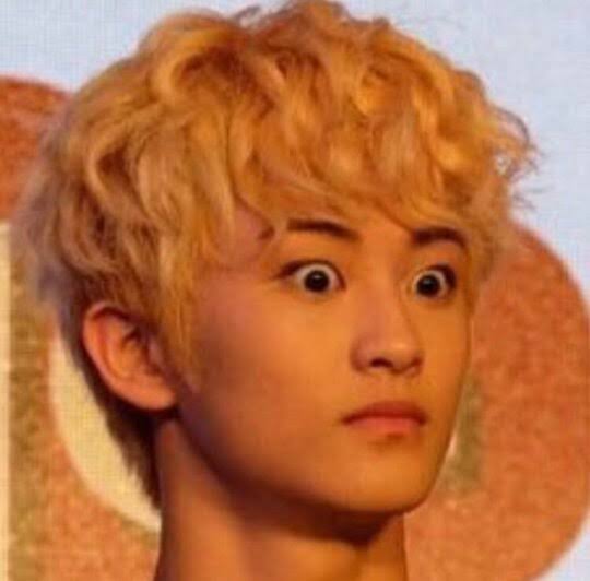 images?q=tbn:ANd9GcT5uqnoZZL-hVkxpMz9Si6-KKzvuKqCINa2Og&usqp=CAU