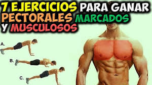 Las flexiones de pecho nos ayudan a trabajar el pectoral otro de los ejercicios clásicos, en este caso para trabajar los bíceps. Pin On Como Ganar Masa Muscular Musculos78
