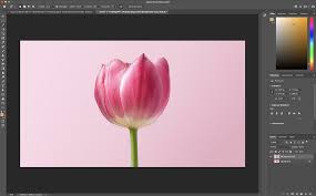 Check spelling or type a new query. Remove A Background In Photoshop Quickly Easily Sitepoint