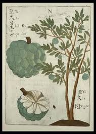Maybe you would like to learn more about one of these? Sugar Apple Wikipedia