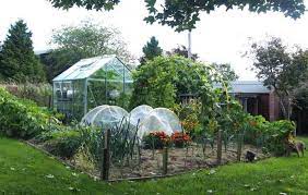 June is when all the hard work you've put into your back yard kitchen garden in the first half of the year really starts to pay dividends in terms of pickings. Backyard Vegetable Garden Layout The Old Farmer S Almanac