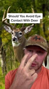 Deer Looking Like Boy in Leaves