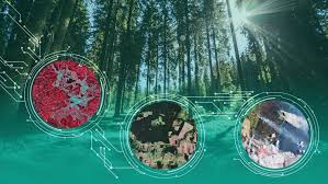 Remote sensing is used for a variety of measuring and mapping applications. 10th Esa Advanced Training Course On Land Remote Sensing 2021 Eo Science For Society