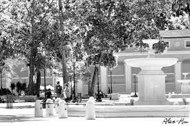 Encuentra los precios, horarios e información importante para elegir el mejor viaje. Dibujos Y Fotografias De La Plaza Bolivar De Maracay Steemit