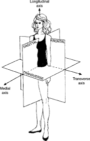 Your home teacher video basic body movements, video 0. Improving Body Movement Comfort In Apparel Sciencedirect