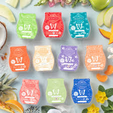 Download Introducing The Best Scentsy Catalogue Yet Available From 1st February 2021 The Candle Boutique Scentsy Uk Consultant