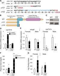 Artisan 4.8 l tilt head stand mixer 5ksm125. Lxr Driven Enterocyte Lipid Droplet Formation Delays Transport Of Ingested Lipids S Journal Of Lipid Research
