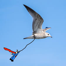 Image result for tbn:ANd9GcRF6VYfwEGnO_5MNle4-XMssZxcsP1xOj2UZlhsq2TV1ZstgqS7npfXfg