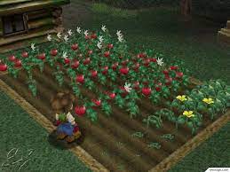 Beta Harvest Moon A Wonderful Life Harvest Moon Rune Factory Wiki Harvest Moon I Am Awesome Harvest