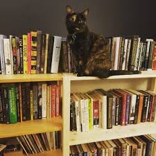 You can do the exercises online or download the worksheet as pdf. Trouble Department Is An Anagram Of Embattled Retro Pun Trouble Department