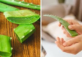Check spelling or type a new query. 10 Home Remedies To Treat Fresh Wounds All Over Your Body