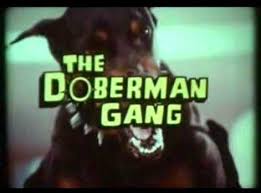 It is a sequel to the doberman gang. Apocalypse Later Film Reviews The Doberman Gang 1973