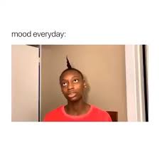 Its Really Hard Hahaha Video Stupid Funny Memes Funny Video Memes Funny Relatable Memes