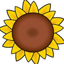 Flowers clipart background 503 704 transprent png free. 93 Gambar Bunga Matahari Kartun Hitam Putih Cikimm Com