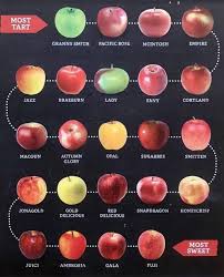 Apple Comparison Chart On Reddit Drawing A Lot Of Interest