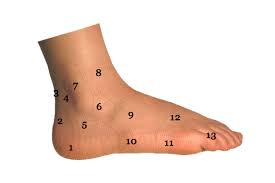We update the list regularly. Foot Ankle Diagram Pain By Area Long Beach Ca Sol Foot Ankle Centers