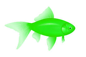 fish png icon web icons png fish png icon web icons png