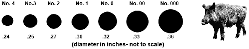 A short while back i was on shotgunworld in the tactical/home defense forums, (also known as the basement) and we had a guy ask a simple question: Buckshot Sizes