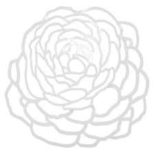 Expect More Pay Less Rose Wall Wall Sculptures Target Wall Decor