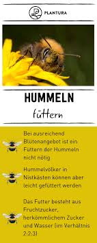 Hummeln Futter Nester Co Plantura Hummeln Brummer Nisthilfen