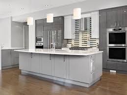 8 Great Kitchen Cabinet Color Palettes Grey Kitchen Designs Contemporary Kitchen Grey Kitchen Cabinets
