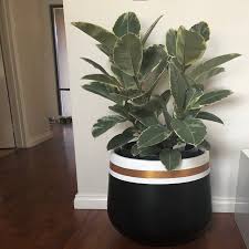 Black And White Outdoor Plant Pots Plante Dinterieur Leger Peint A La Main Noir Et Blanc Avec Etsy Indoor Plant Pots Indoor Plants Plants