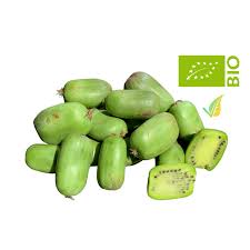 Image result for foto minikiwi