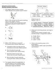 Para qori' memiliki cara tersendiri dalam latihan pernafasan sehingga memperoleh nafas yang panjang. Latihan Organ Pernafasan Haiwan Animals Breathing Organs Vertebrates Respiration