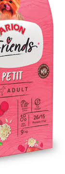 CANINA ALICANTE INTERNACIONAL A4