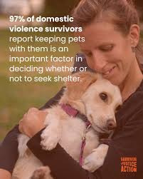 Survivor Justice Action added a...