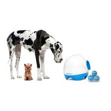All fido has to do is grab a tennis ball, drop it into the ifetch and. Ifetch Ball Launcher If Ifetch Gr Ifetch Too