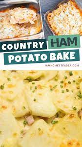 Country Ham Casserole I Am Homesteader Video Recipe Video Leftover Ham Recipes Recipe For Canned Ham Recipes