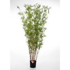Voir plus d'idées sur le thème arbuste en pot, arbres en pots, arbuste. Bambou Artificiel Daya Arbuste Avec 1560 Petites Feuilles 130 Cm Fausse Plante Bambou En Pot Cdiscount Maison